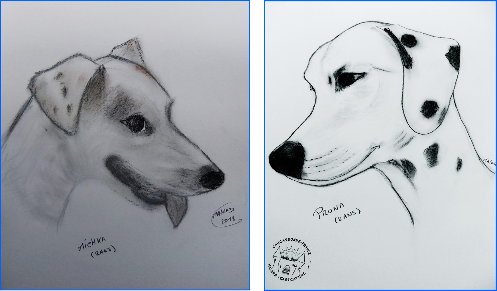 Chiens croquis rapide 